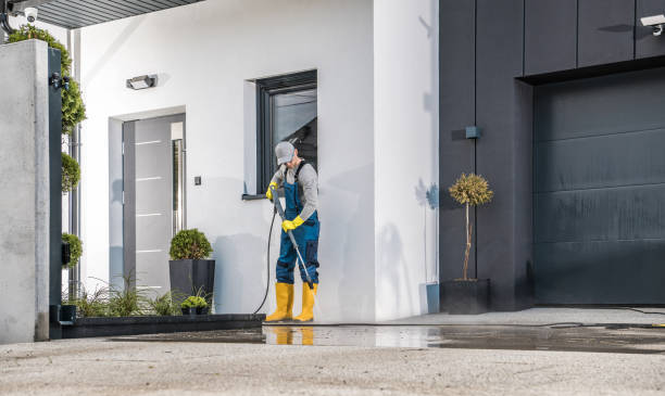 Best Driveway Pressure Washing  in Castle Pines Village, CO